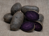 # Kartoffel Purple Rain Kartoffel Purple Rain
