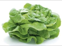 # 1708 hovedsalat Hovedsalat