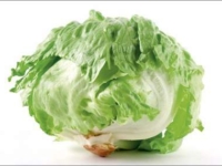 # 1711 iceberg salat Iceberg salat